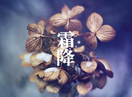 补冬不如补霜降，霜降到了怎么养生？