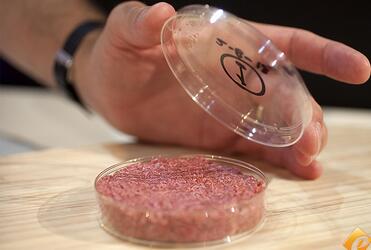 人造肉5年后就可以大规模上市了 你敢吃吗？