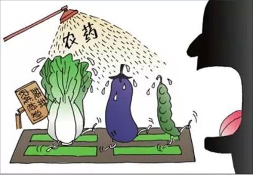 真相！农药残留排行榜，最毒的究竟是哪种？