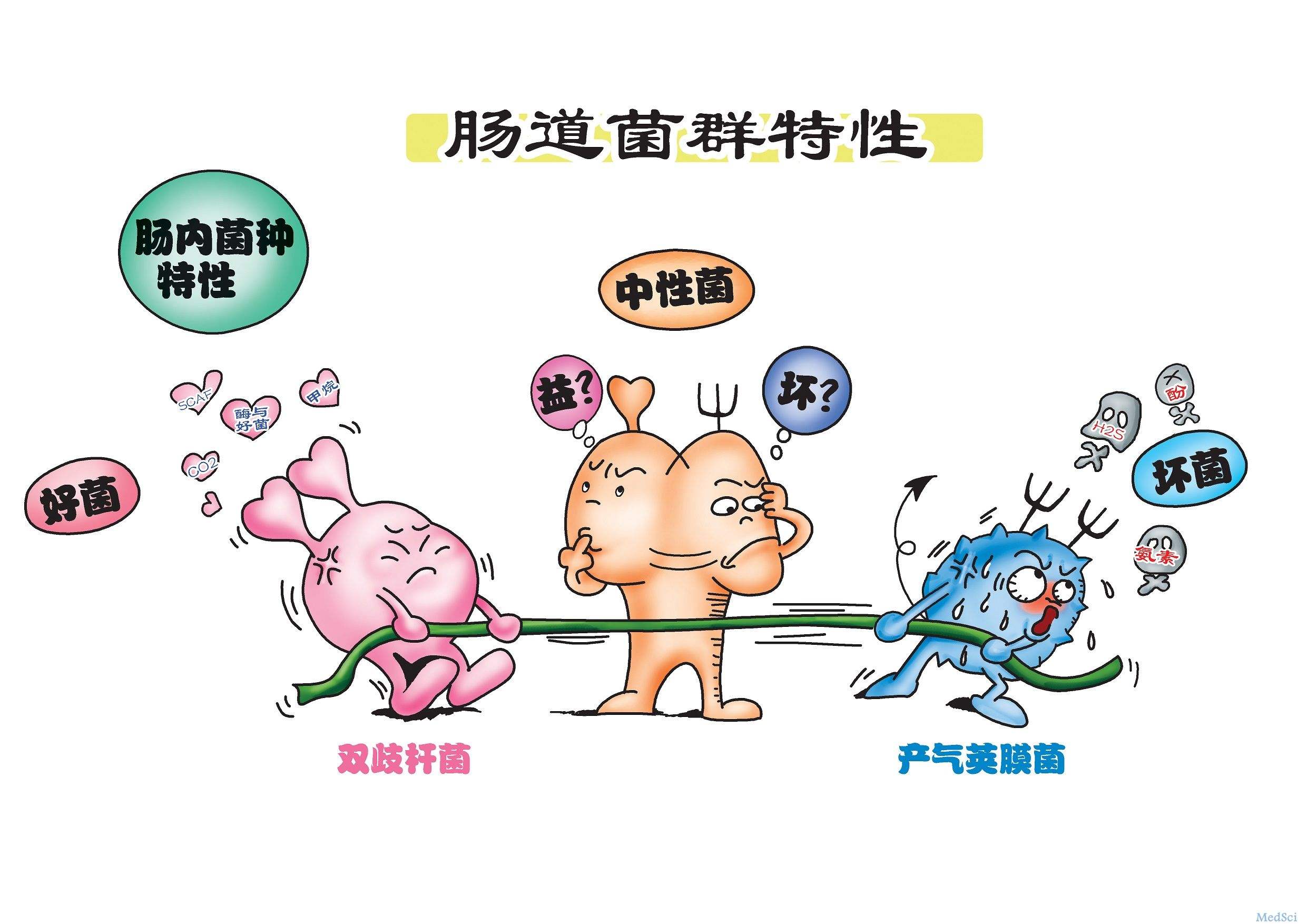 为什么说益生菌是最好的药？